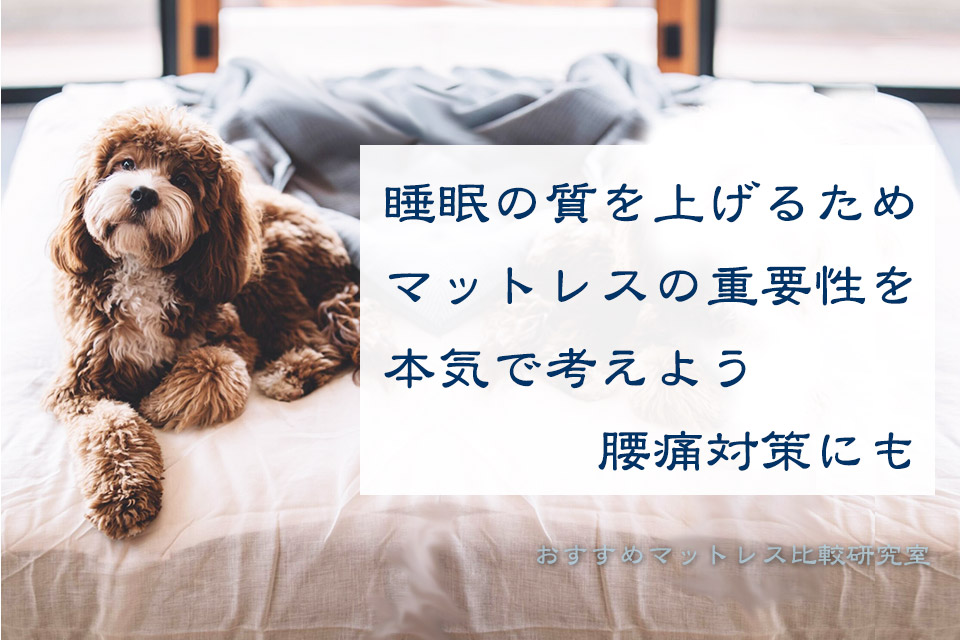 睡眠の質を上げるためマットレスの重要性を本気で考えよう　腰痛対策にも